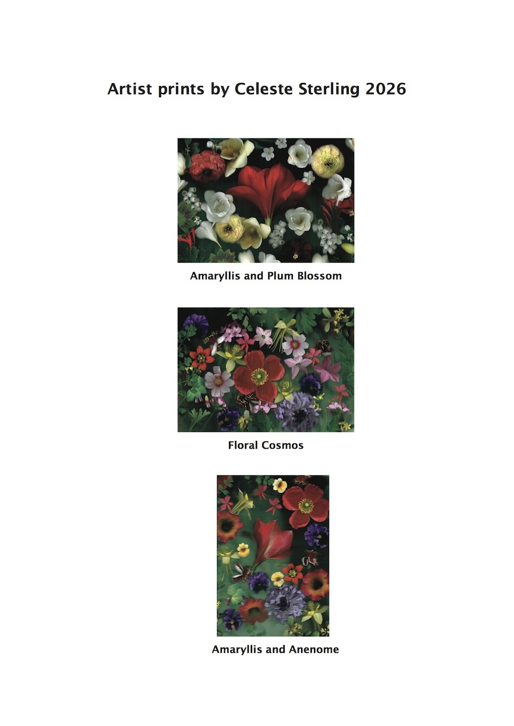 Celeste Sterling | Art Prints Floral 2026